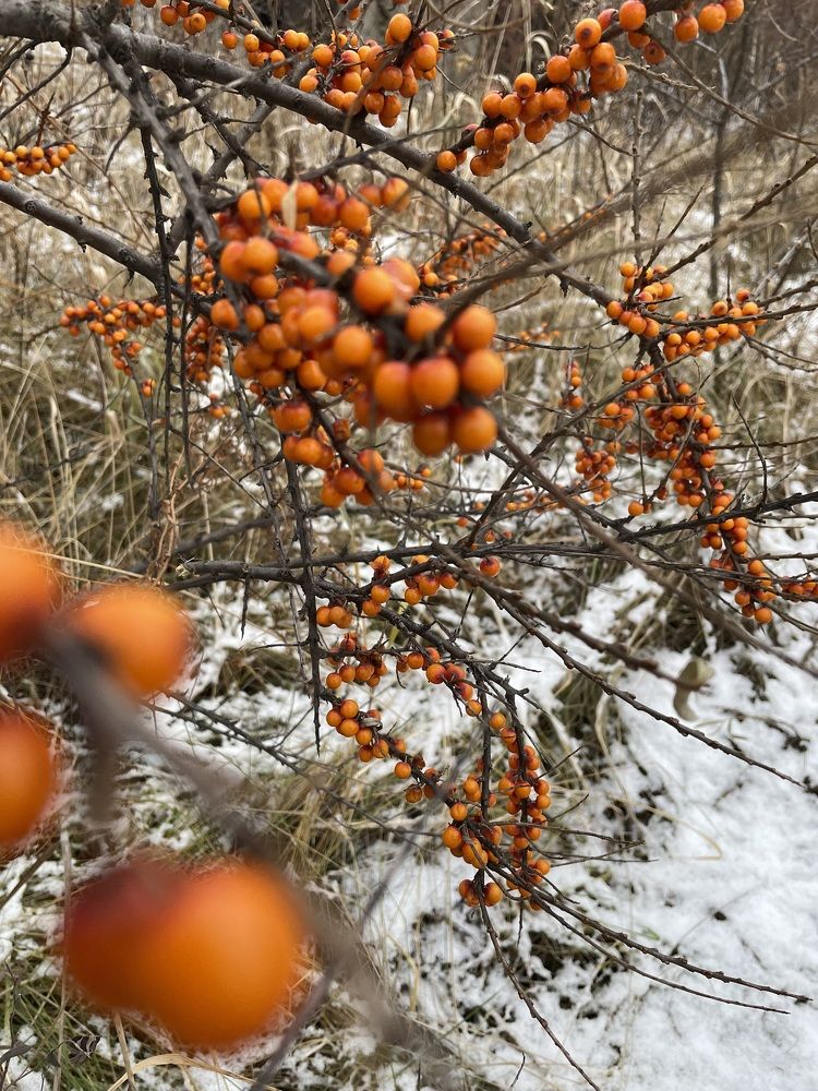 Photograph by Nadezda Yablokova