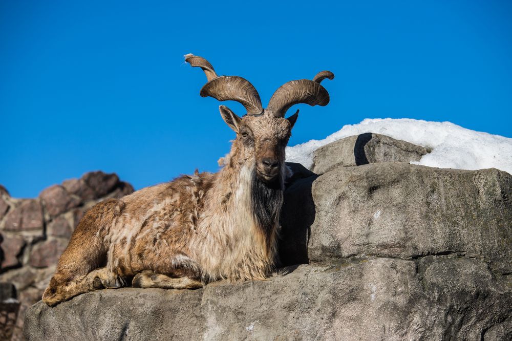 Photograph by Татьяна Гладкова