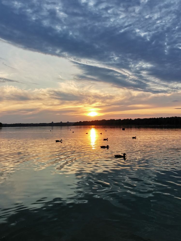 Photograph by Юлия Соловей