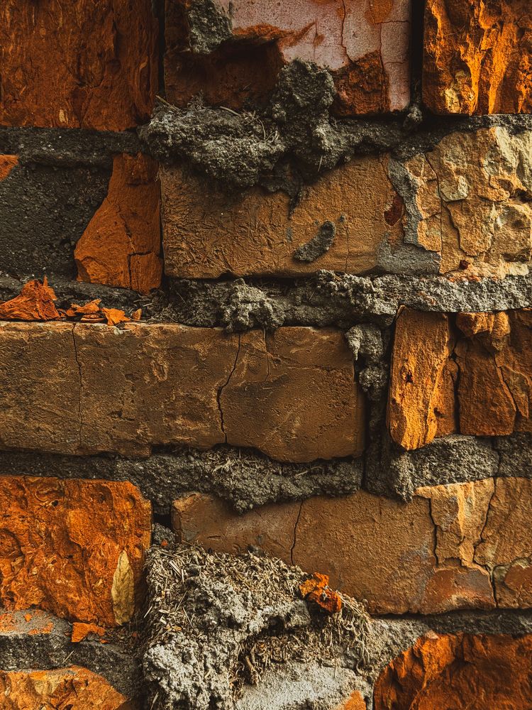 Фотография автора Анна Балабан