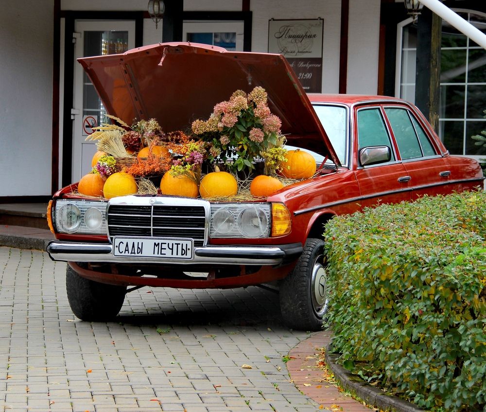 Photograph by Светлана Булыгина