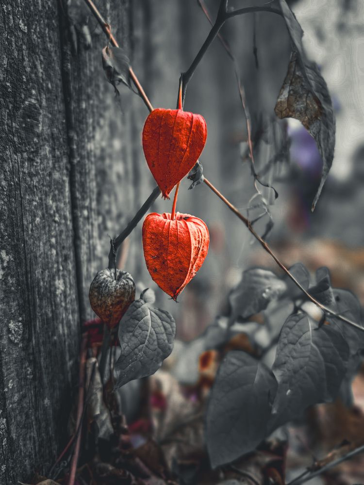 Photograph by Наташа Черепенина