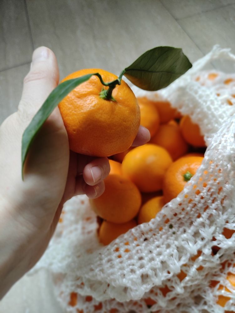 Photograph by Irina Alekseevskaya