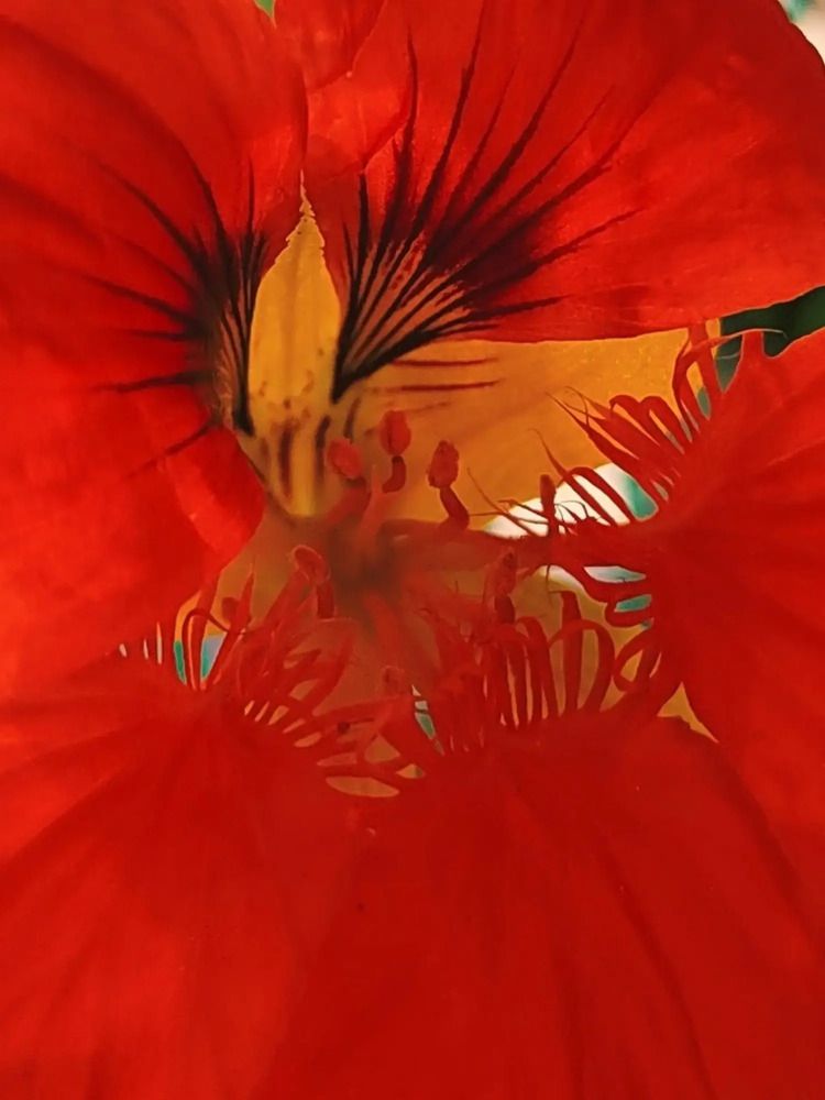 Photograph by Куделенко Оксана