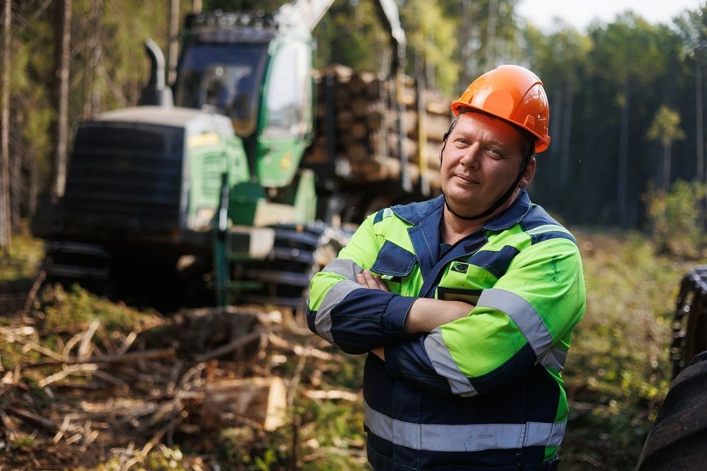 Photograph by Михаил Проскалов