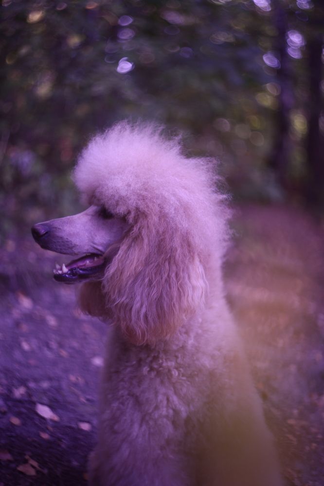 Photograph by Milla Luca