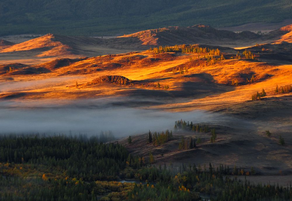 Photograph by Галина Хвостенко