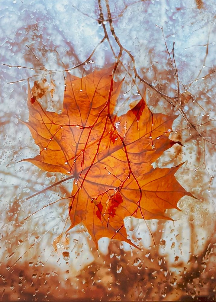 Photograph by Марина Мальцева