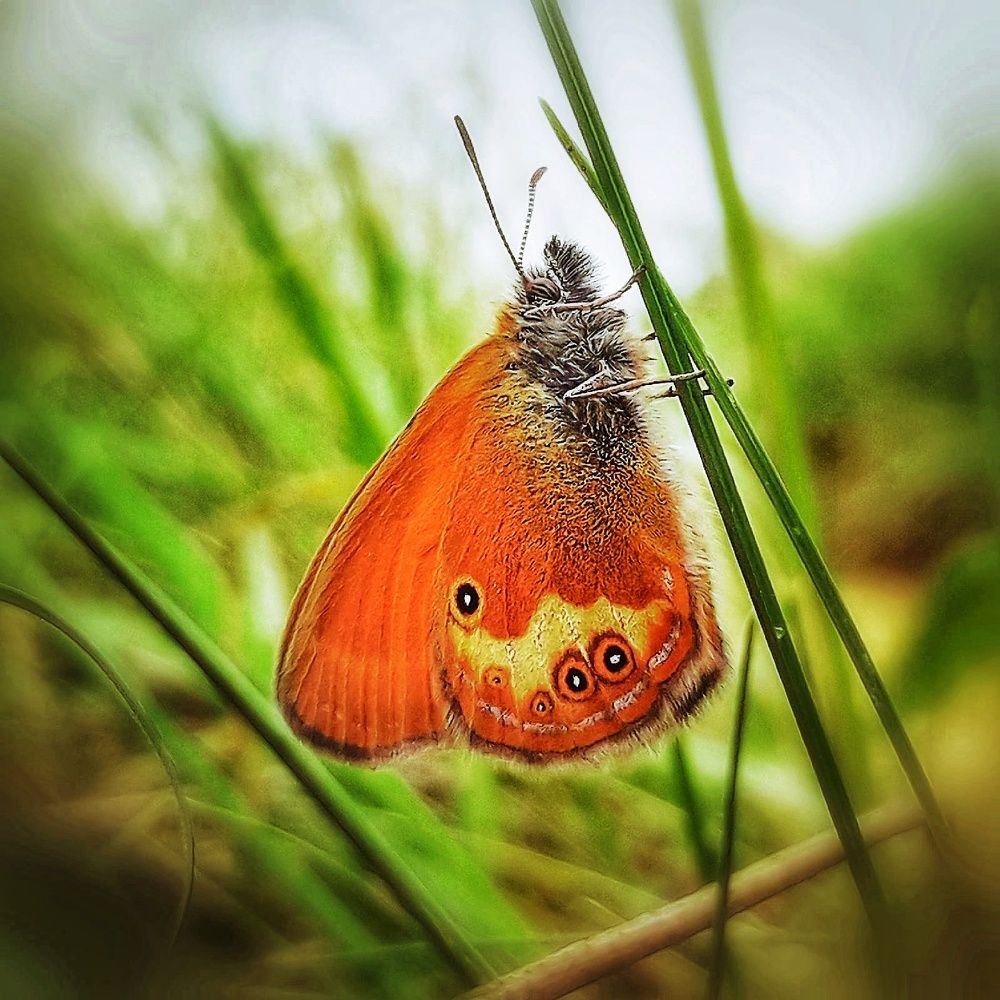 Photograph by Марина Мальцева