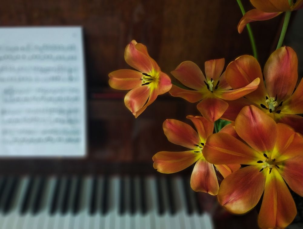 Photograph by Ольга Мартьянова