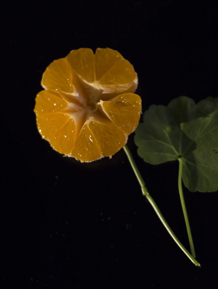 Photograph by АЛЛА ТАРАСЕНКО