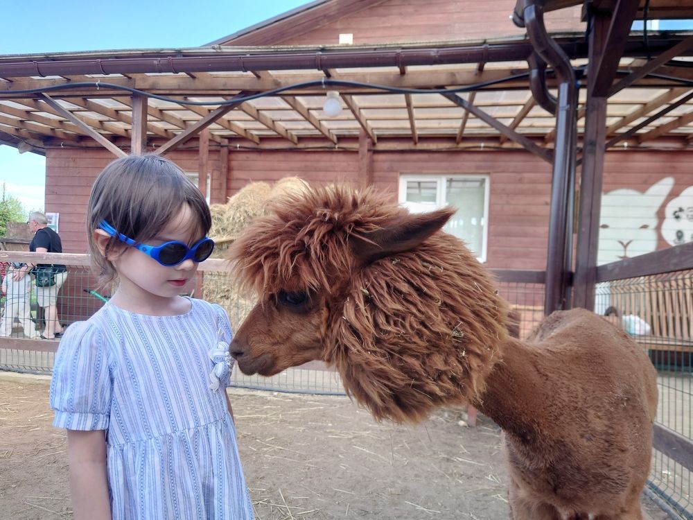 Photograph by Юрий Сычев