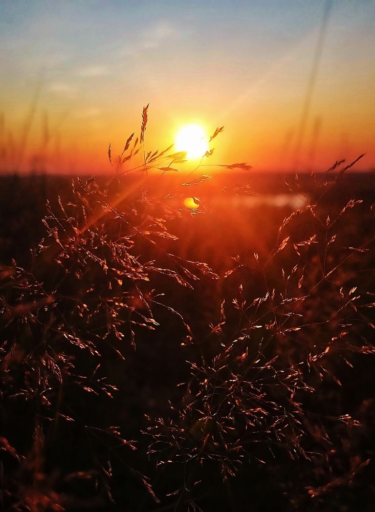 Photograph by Ольга Мартьянова