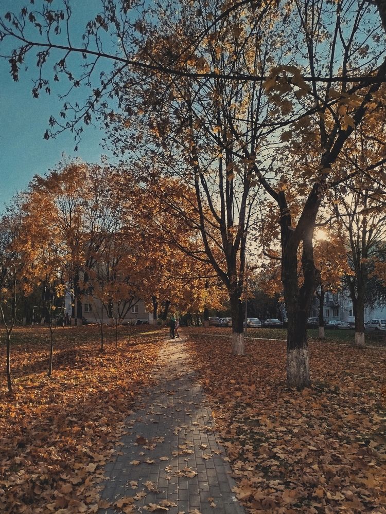 Photograph by Наталья Зяткина