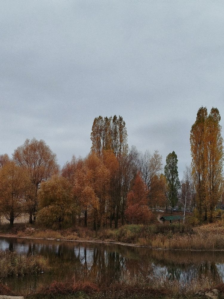 Photograph by Наталья Зяткина