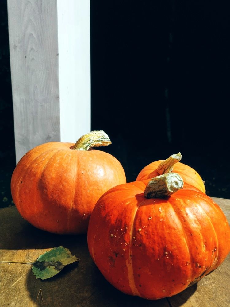 Photograph by Максим Иванов