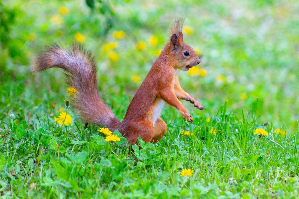 Photograph by Ольга Захарова