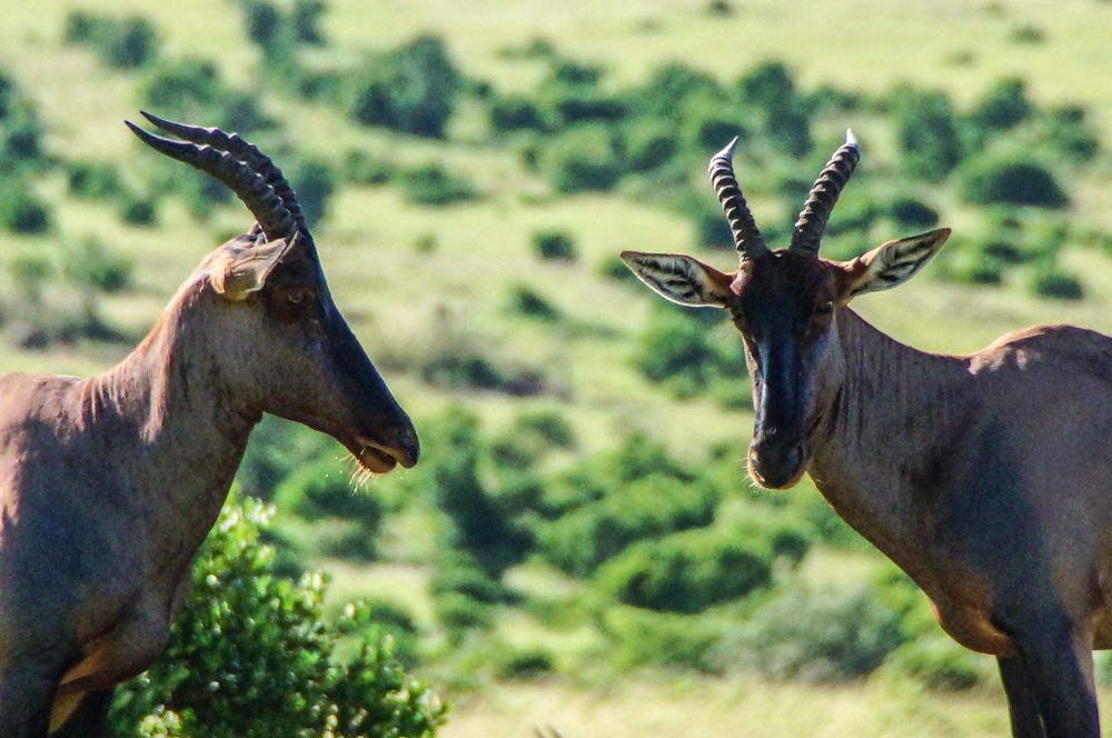 Photograph by Юрий Сычев