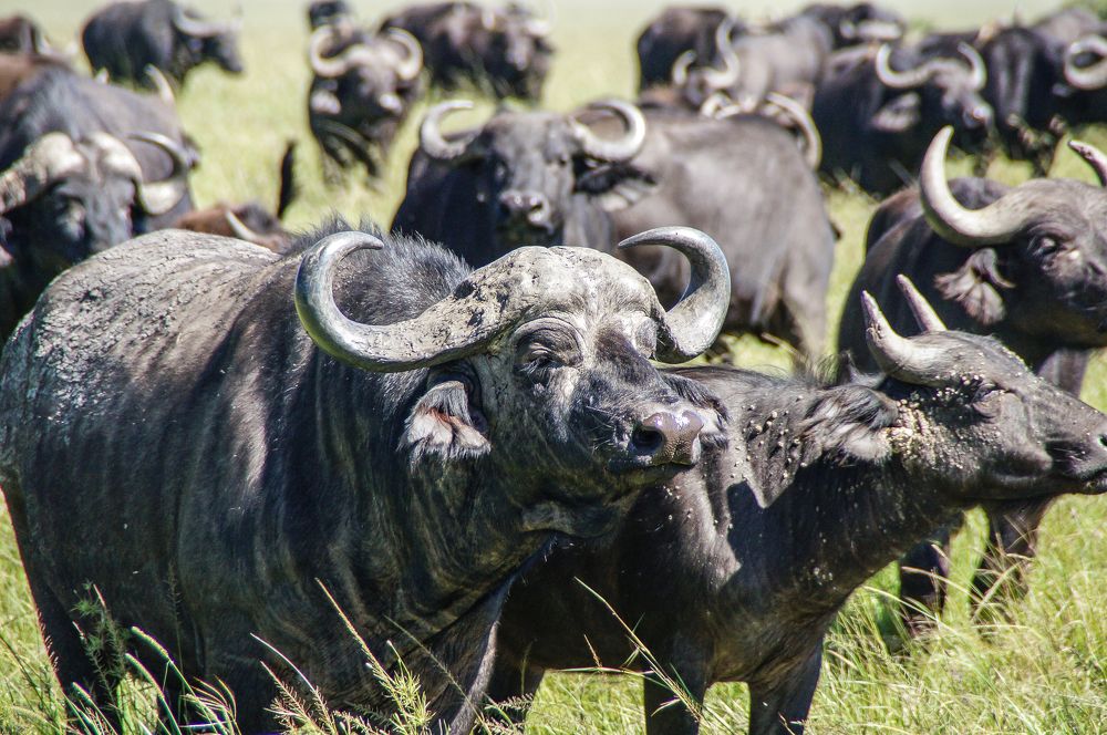 Photograph by Юрий Сычев