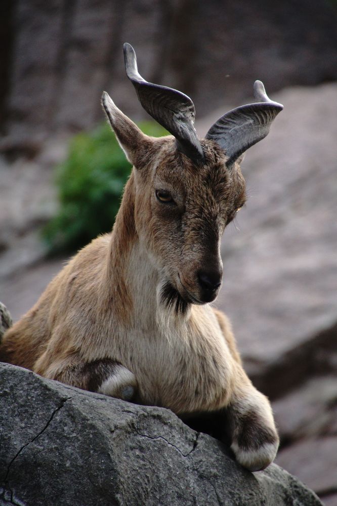 Photograph by Юрий Сычев