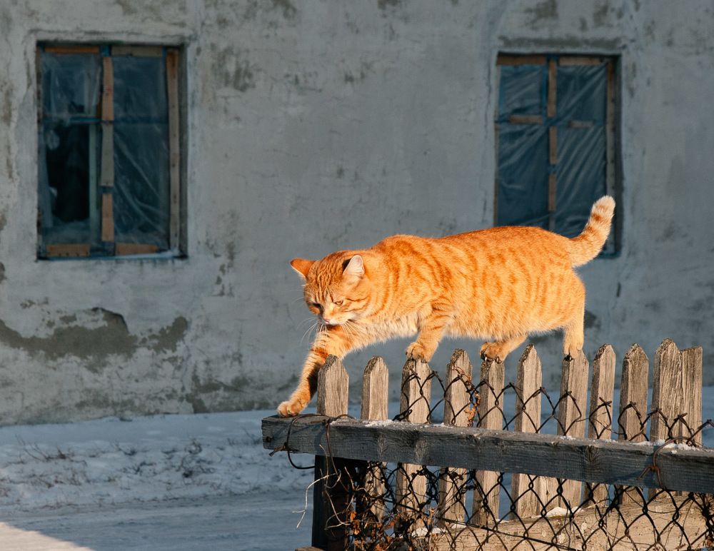 Photograph by Ирина Яук