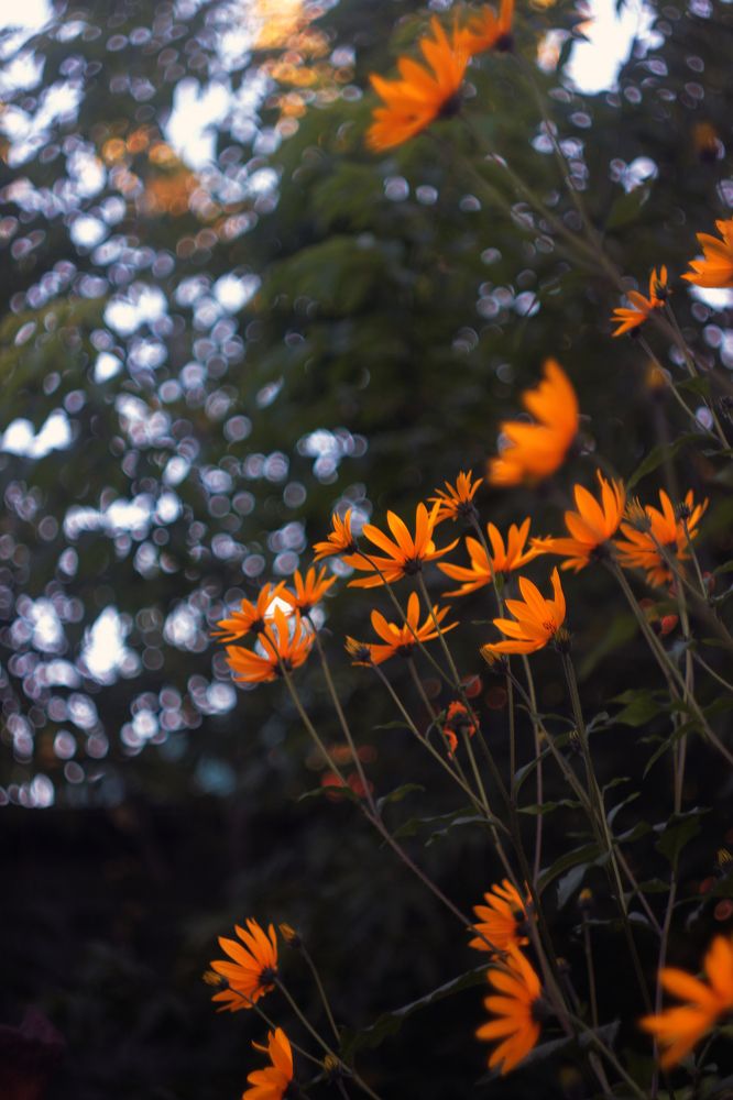 Photograph by Анна Киселёва