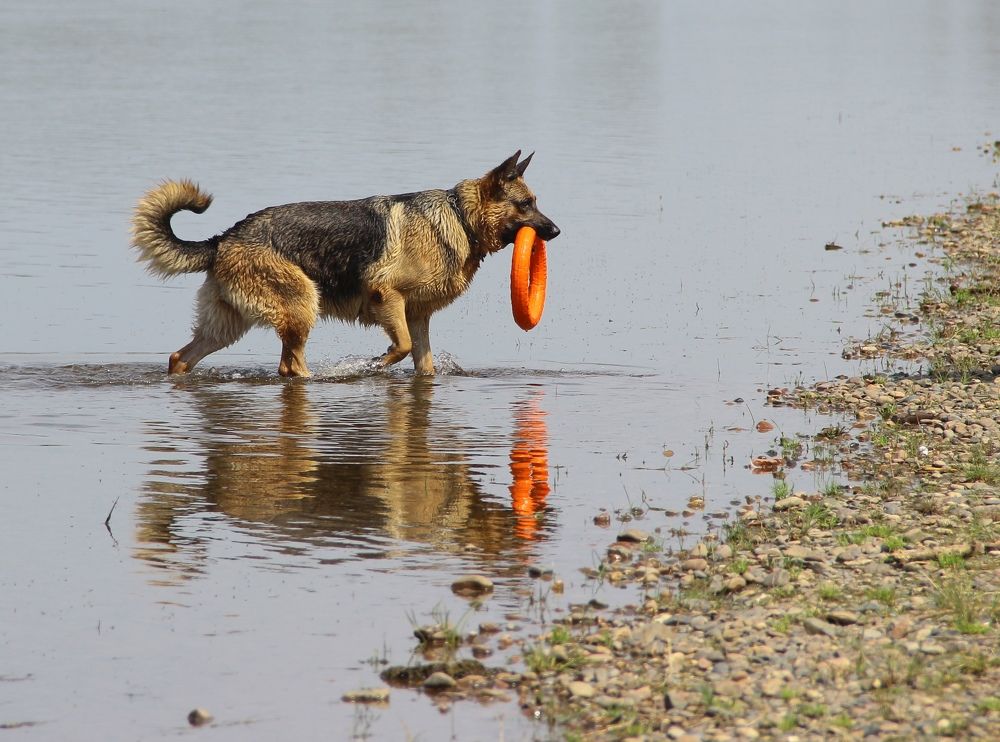 Photograph by Светлана Булыгина