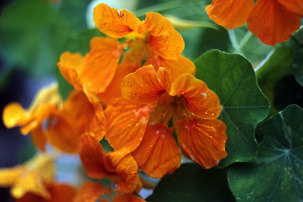 Photograph by Анна Киселёва