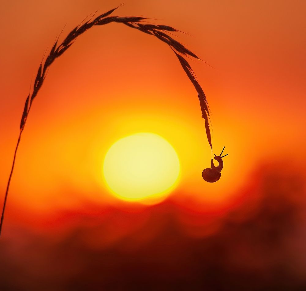 Photograph by Владимир