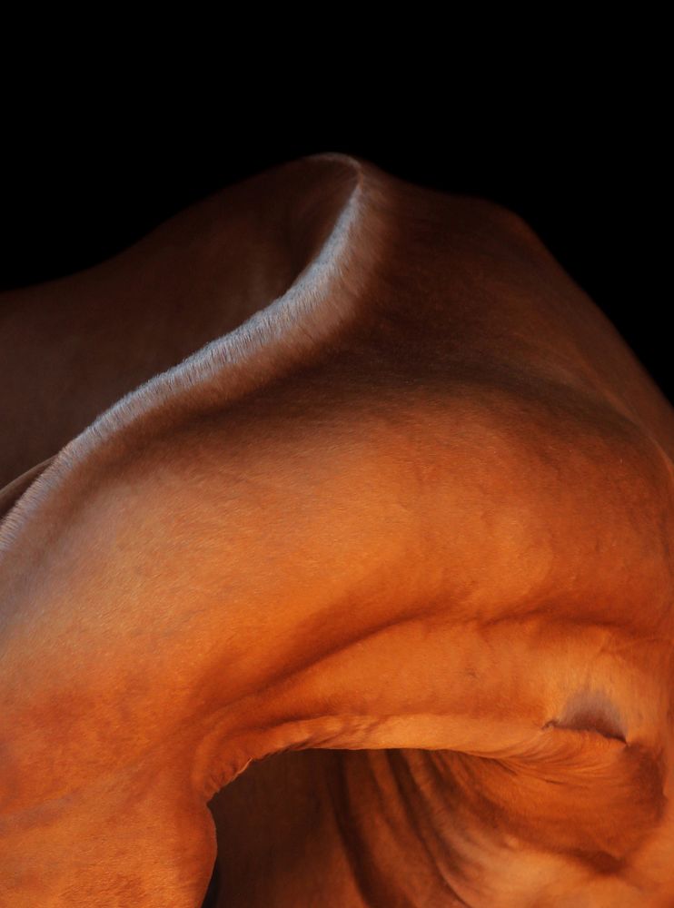 Photograph by Екатерина Михайлова