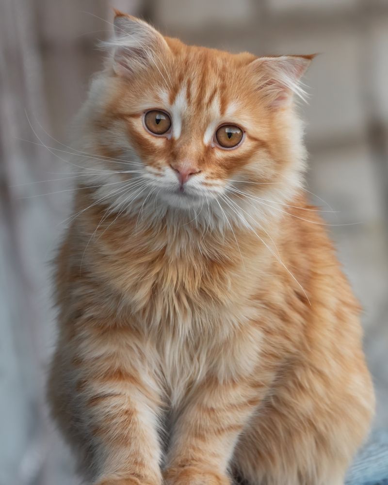 Photograph by Дудников Александр