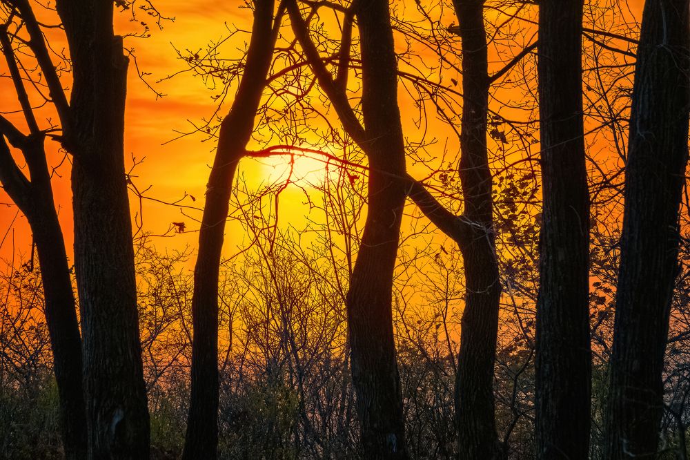 Photograph by Дудников Александр