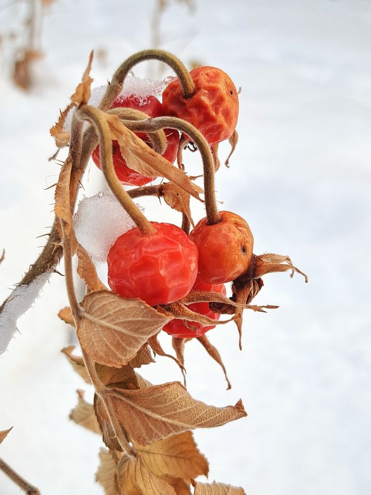 Photograph by Оксана Юдина