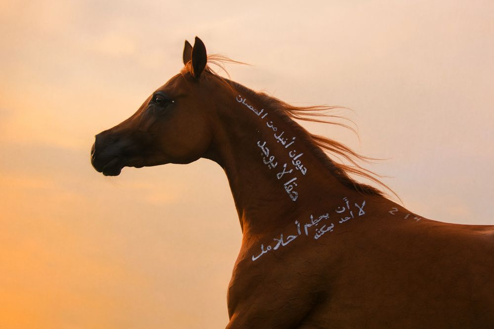 Photograph by Екатерина Михайлова