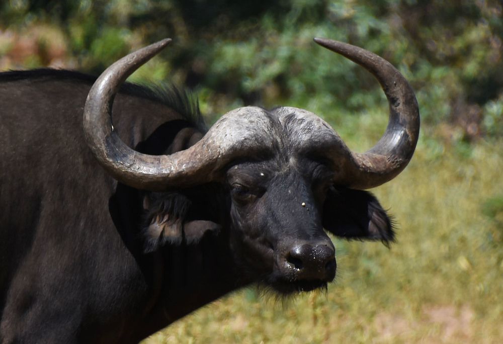 Photograph by Marjo Steffen