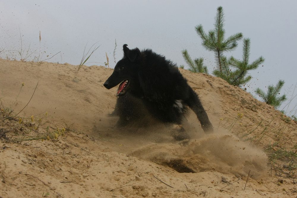 Фотография автора Надежда Лисицына