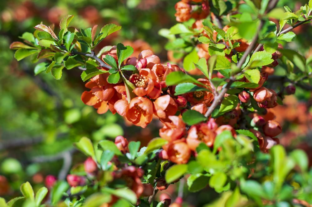 Photograph by Лилия Кондратьева