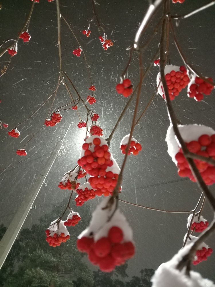 Photograph by Наталья Сырых