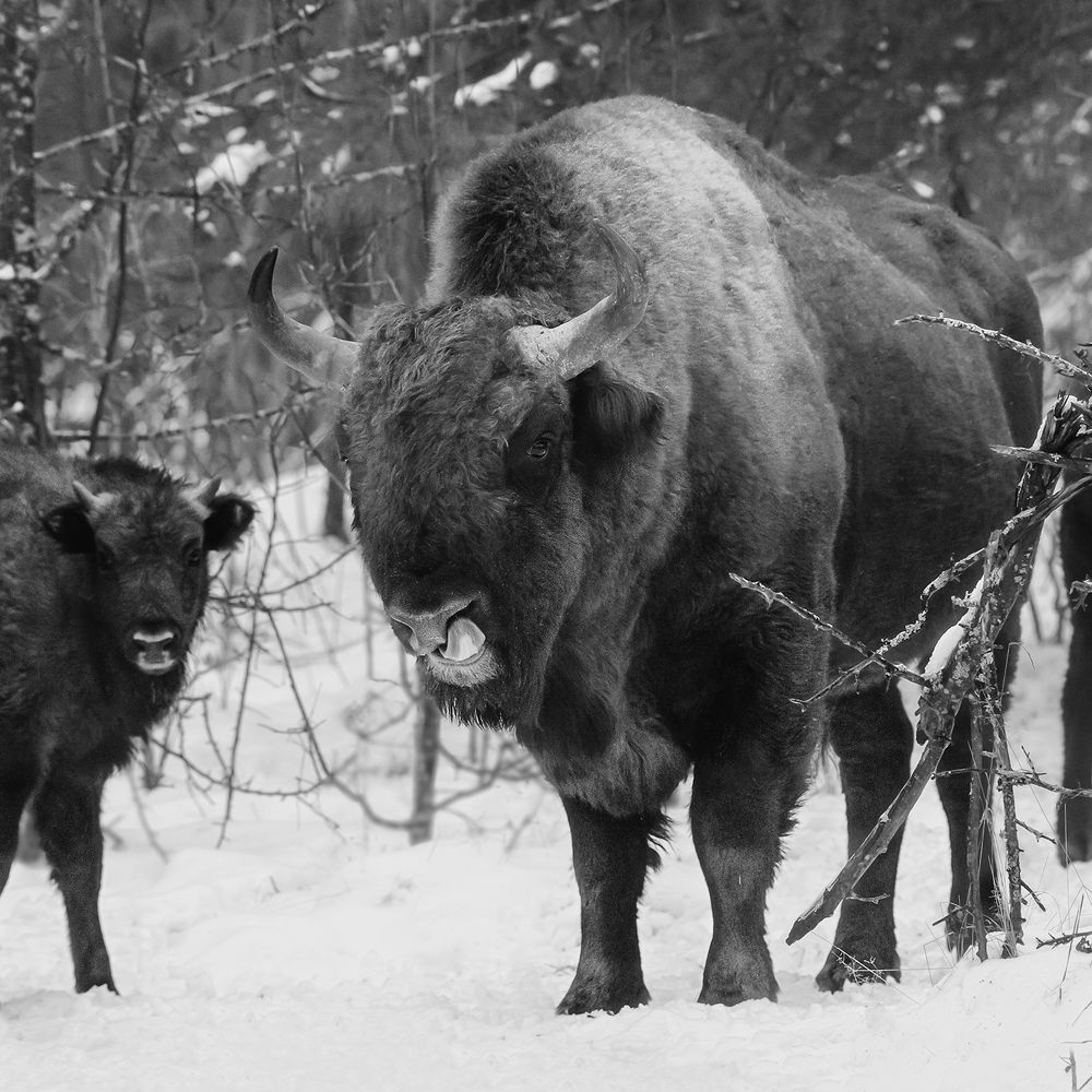 Photograph by  Marina