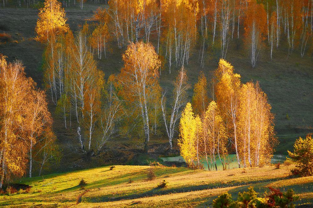 Photograph by Ткачёв Владимир