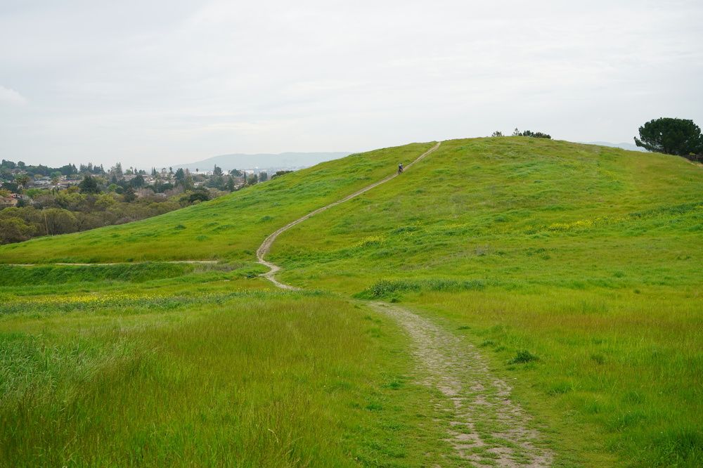 Photograph by Владимир Гречанинов