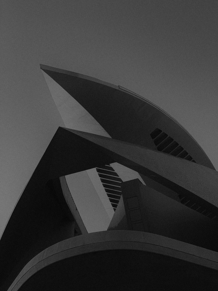 PALAU DE LES ARTS REINA SOFIA