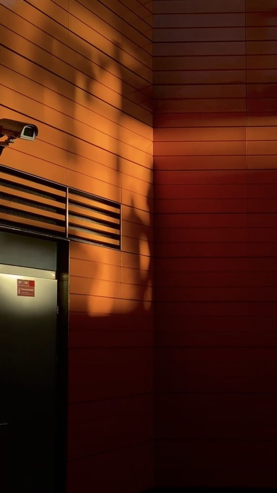 Фотография автора Ирина Шестакова