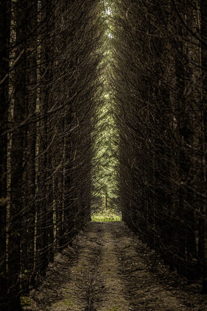 Photograph by Валентина Тарасова