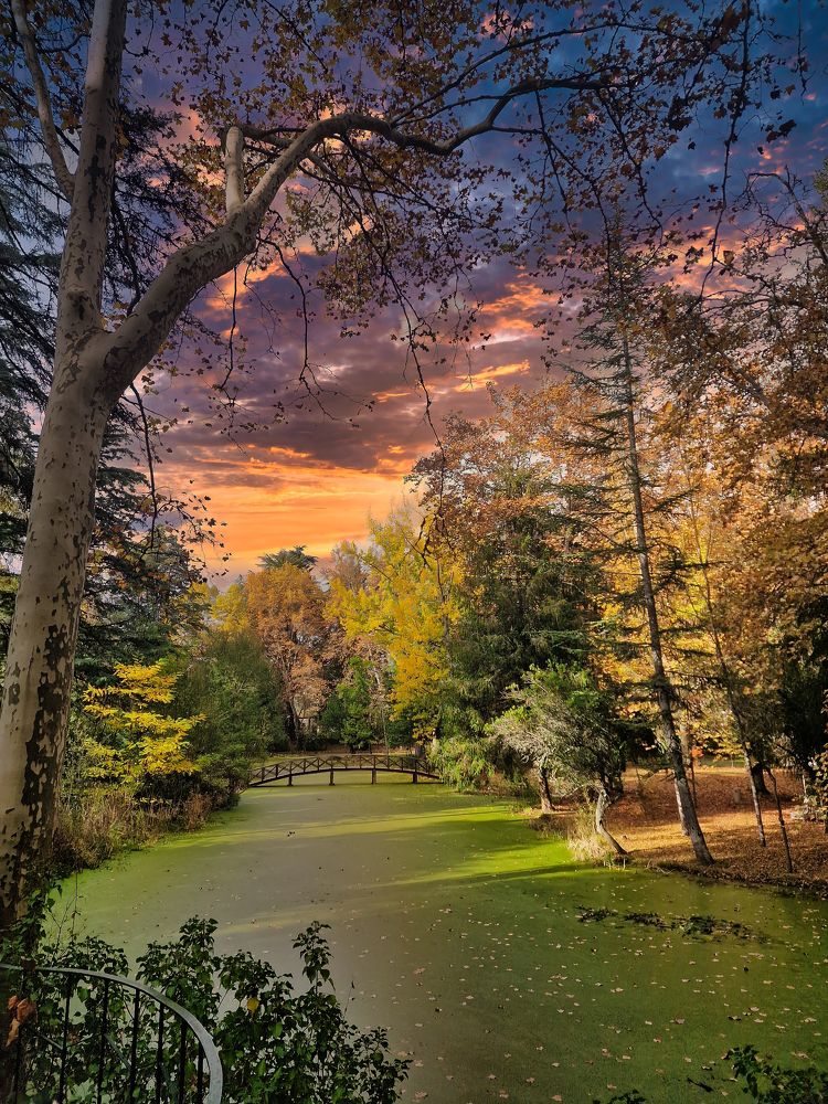 Natural peace and tranquility