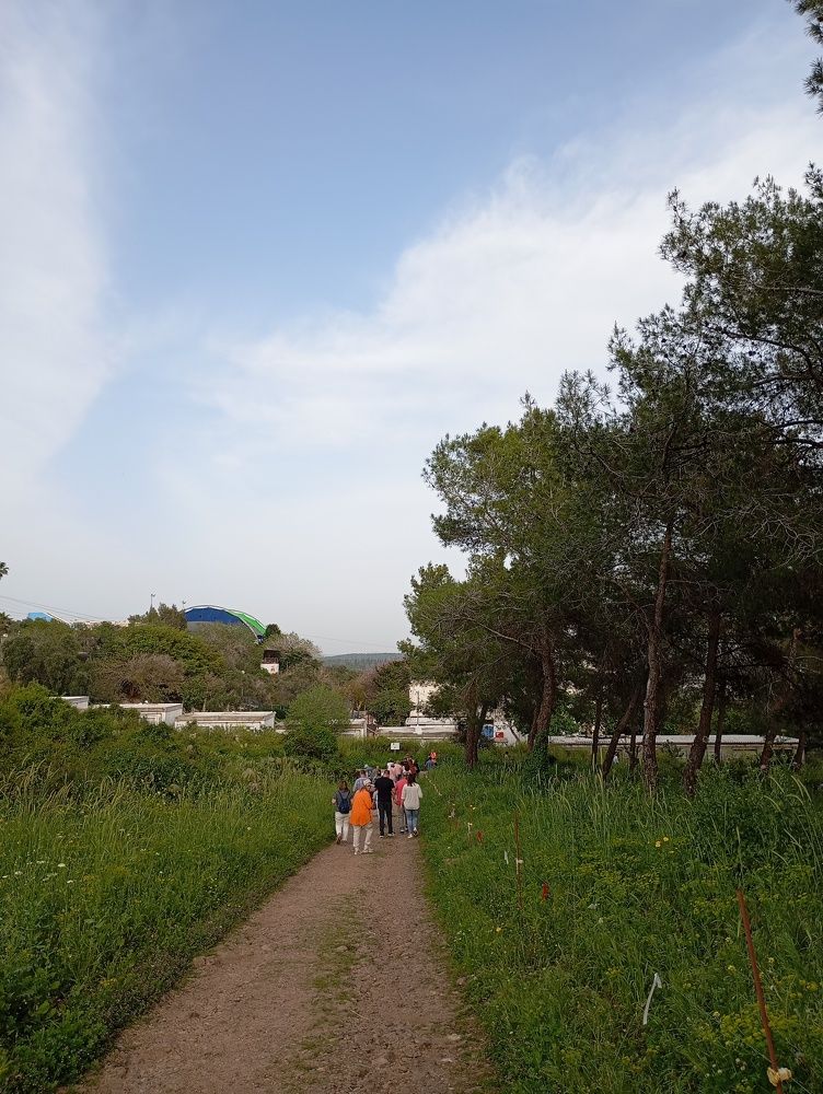 The path to orange dreams.