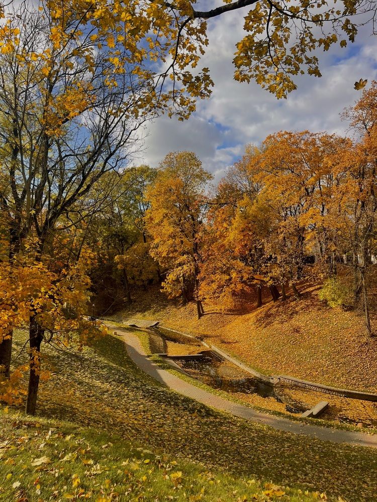 Photograph by Екатерина Павловец