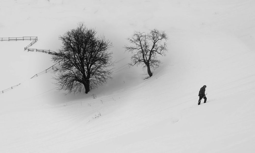 Photograph by Esin Sağır