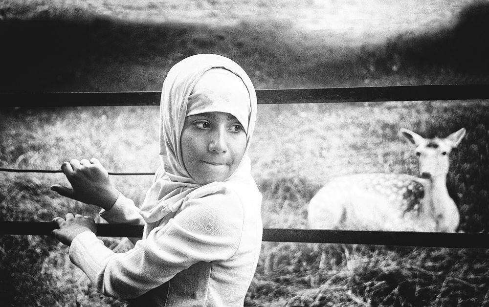 Фотография автора Елена Лаврова