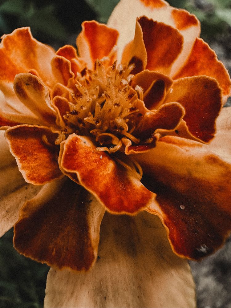 Photograph by Диана Бадеева